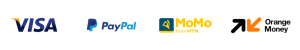 Payment-Icon2